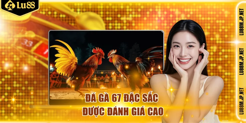 Đá gà 67 đặc sắc được đánh giá cao
