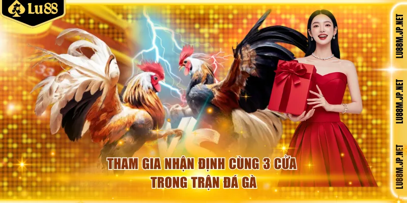 Tham gia nhận định cùng 3 cửa trong trận đá gà